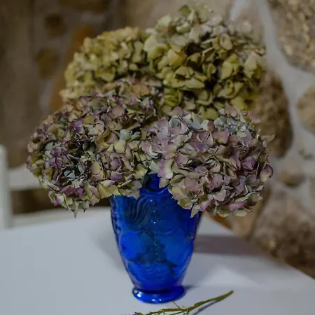 Casa Do Compasso Apartamento *