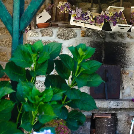 Casa Do Compasso Διαμέρισμα Farminhao