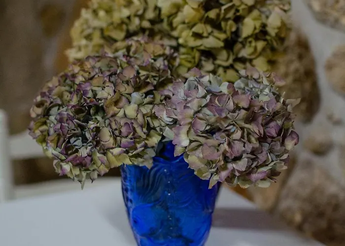 Casa Do Compasso Apartmán *