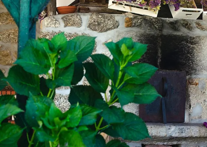 Casa Do Compasso Lägenhet Farminhao