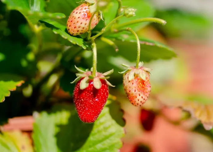 Casa Do Compasso Apartmán Farminhao