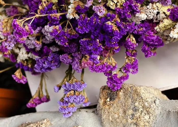 Apartmán Casa Do Compasso Farminhao