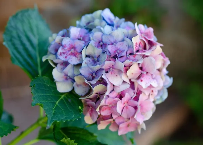 Casa Do Compasso Apartmán Farminhao