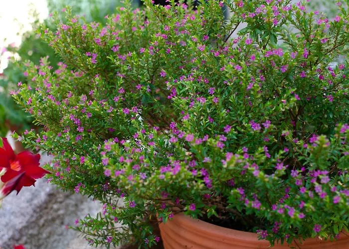 Casa Do Compasso * Farminhao